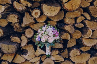 Düğün güneş günü