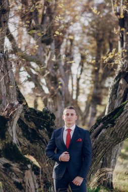 Harika düğün günü