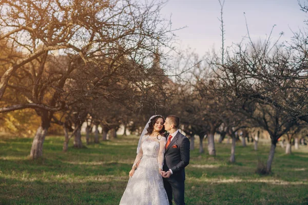 Wonderful wedding day — Stock Photo, Image