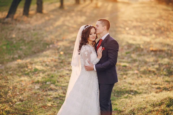 Wonderful wedding day — Stock Photo, Image