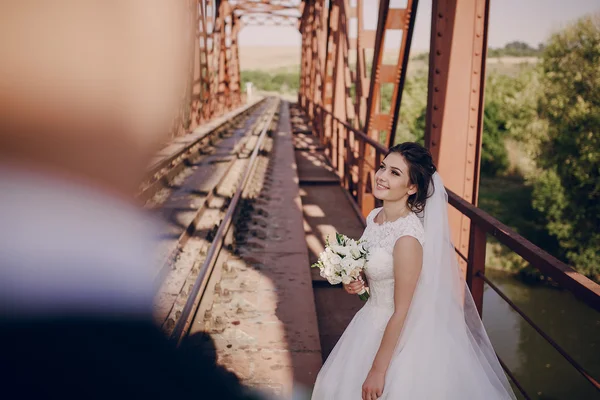 Giorno del matrimonio HD — Foto Stock