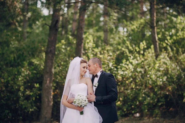 Dia do casamento hd — Fotografia de Stock