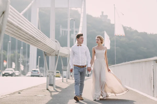 Día de la boda en Budapest —  Fotos de Stock