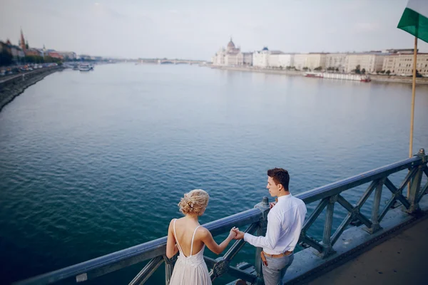 Bryllupsdagen i Budapest – stockfoto