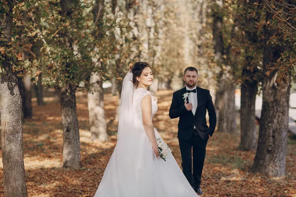 Día de la boda HD —  Fotos de Stock