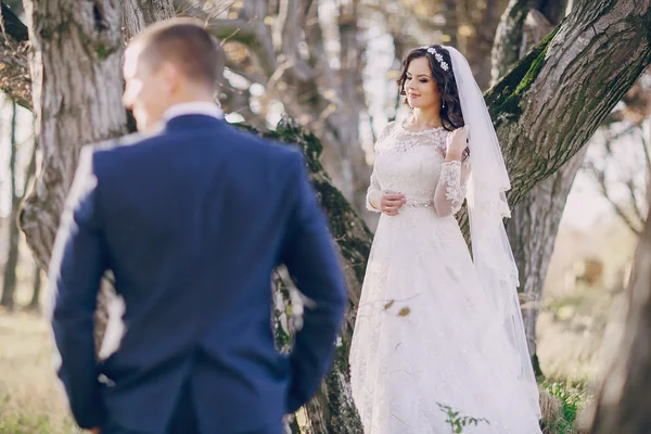 Wonderful wedding day — Stock Photo, Image