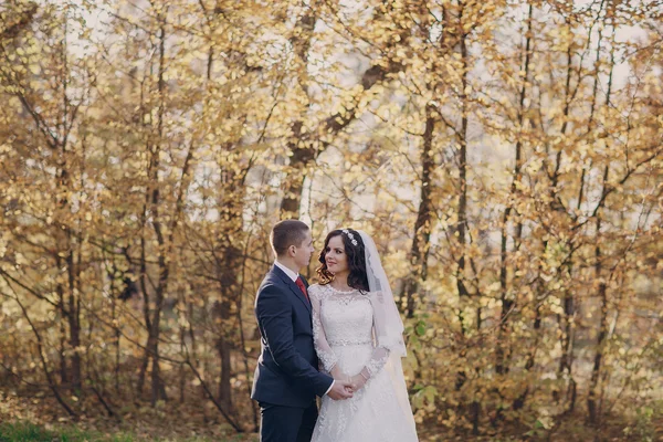 Wonderful wedding day — Stock Photo, Image