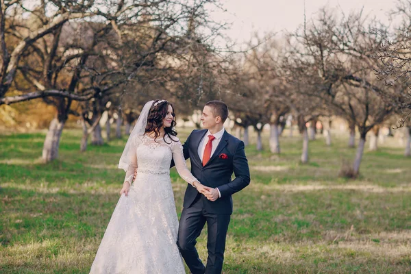 Meraviglioso giorno del matrimonio — Foto Stock