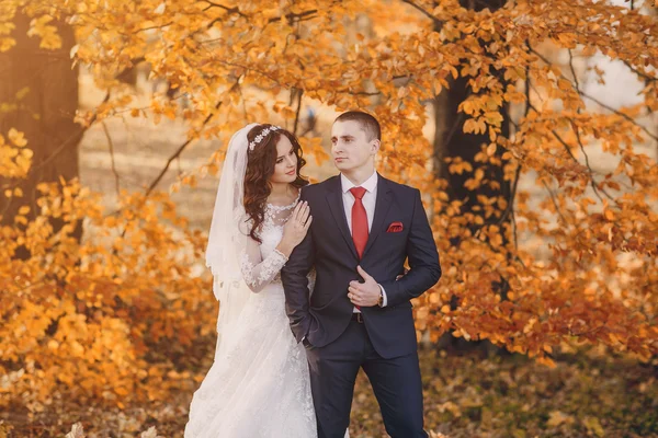 Meraviglioso giorno del matrimonio — Foto Stock