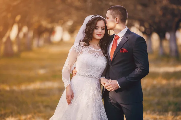 Maravilloso día de boda — Foto de Stock