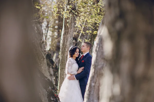 Merveilleux jour de mariage — Photo