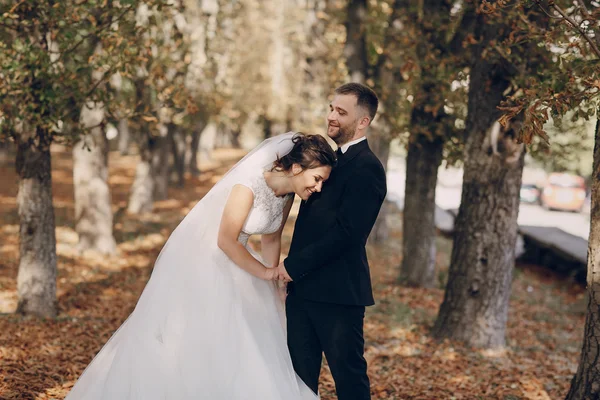 Wedding day HD — Stock Photo, Image