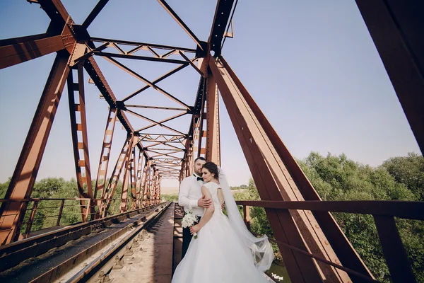 Dia do casamento hd — Fotografia de Stock