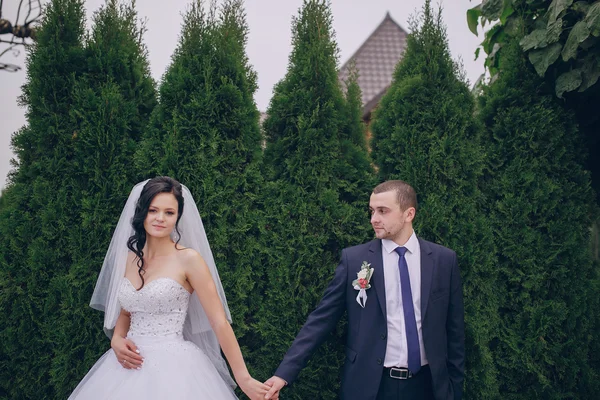 Día de la boda HD — Foto de Stock