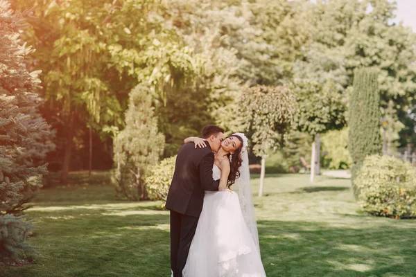 Mágico día de la boda festiva —  Fotos de Stock