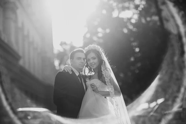 Día de la boda HD —  Fotos de Stock