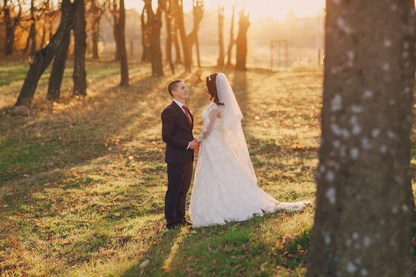 Meraviglioso giorno del matrimonio — Foto Stock