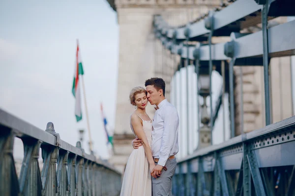 Wedding day in Budapest — Stock Photo, Image