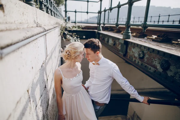 Día de la boda en Budapest —  Fotos de Stock