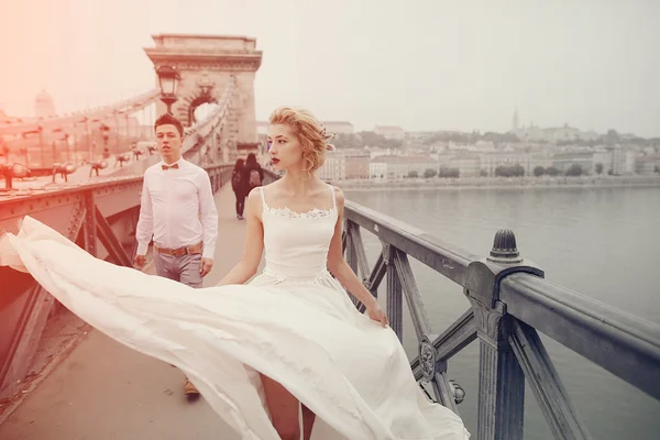 Wedding day in Budapest — Stock Photo, Image