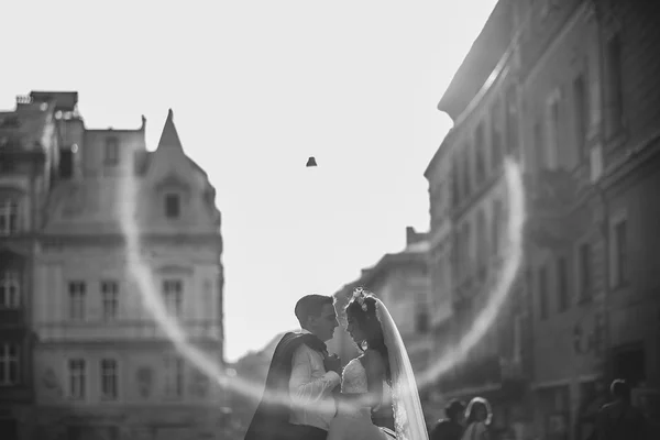 Giorno del matrimonio HD — Foto Stock