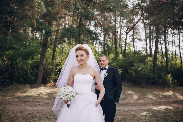 Día de la boda HD —  Fotos de Stock