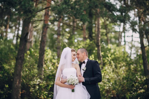 Hochzeitstag — Stockfoto