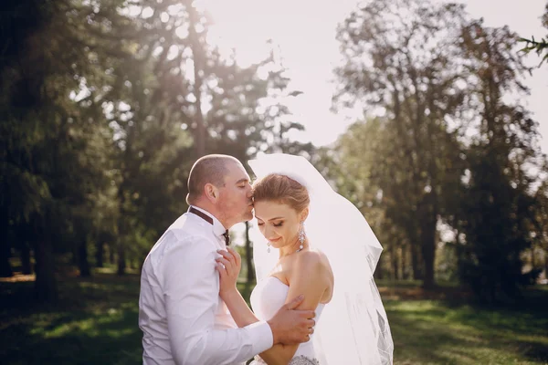 Hochzeitstag — Stockfoto