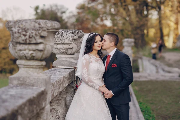 Maravilloso día de boda — Foto de Stock