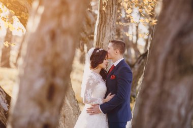 Harika düğün günü