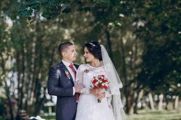 Maravilloso día de boda —  Fotos de Stock