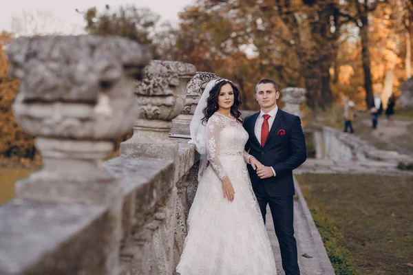 Wonderful wedding day — Stock Photo, Image