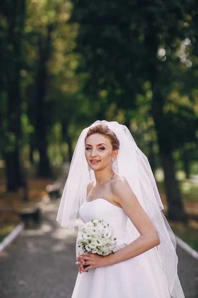 Wedding day HD — Stock Photo, Image