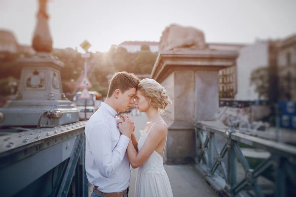 Wedding day in Budapest — Stock Photo, Image