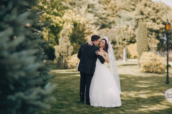 魔法のお祝い結婚式の日 — ストック写真