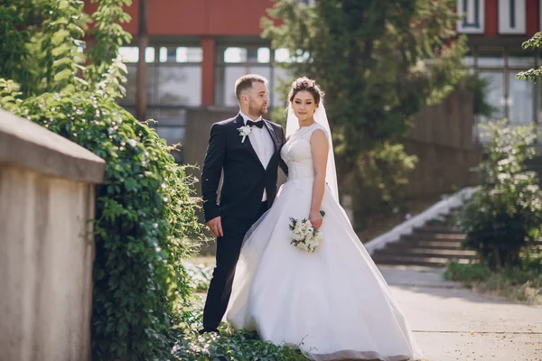 Día de la boda HD — Foto de Stock