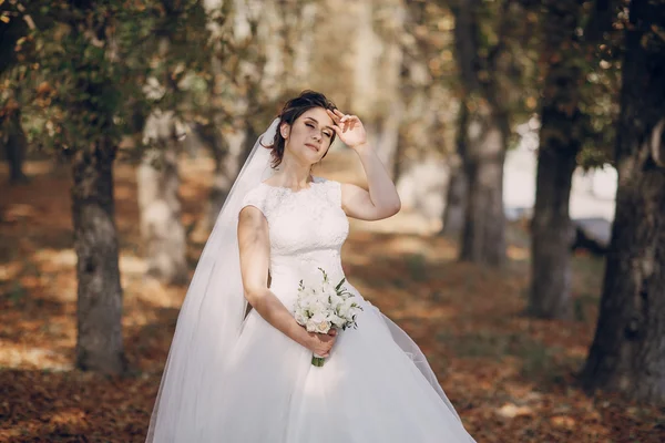 Giorno del matrimonio HD — Foto Stock