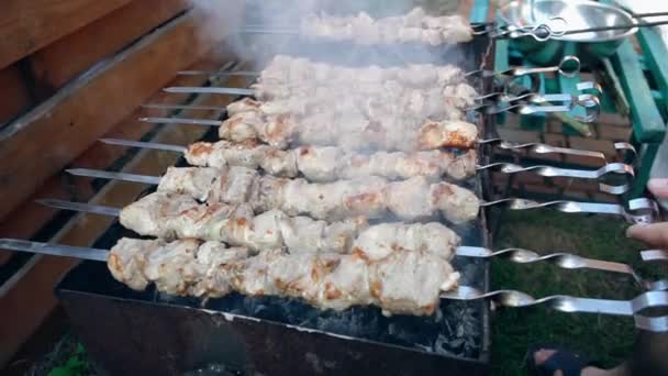 A tűz kebab — Stock videók