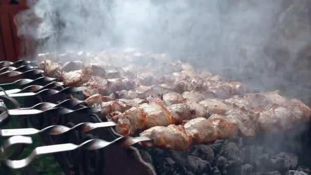 Kebab na oheň — Stock video