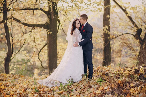 Meraviglioso giorno del matrimonio — Foto Stock