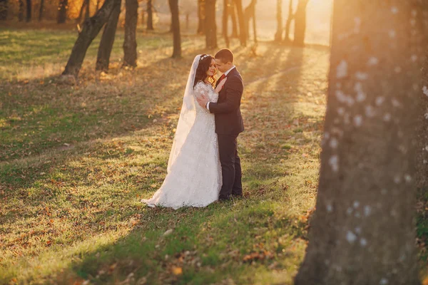 素敵な結婚式の日 — ストック写真