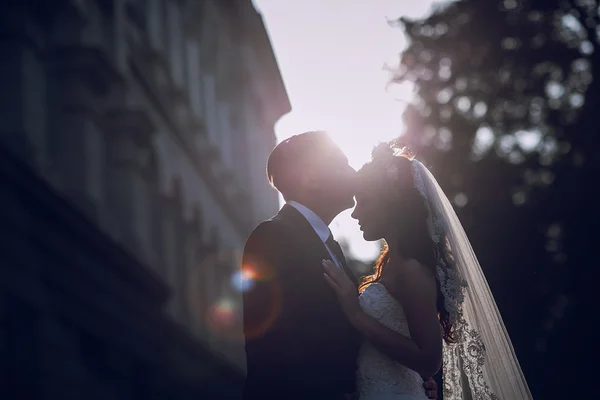 Día de la boda HD — Foto de Stock