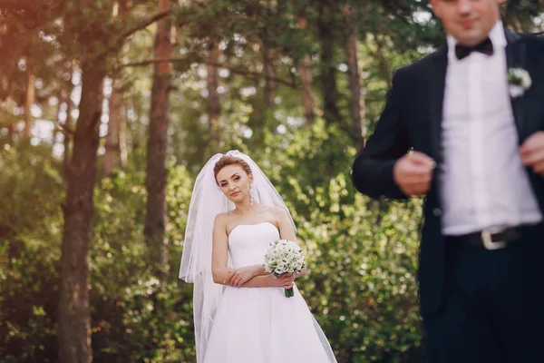 Hochzeitstag — Stockfoto