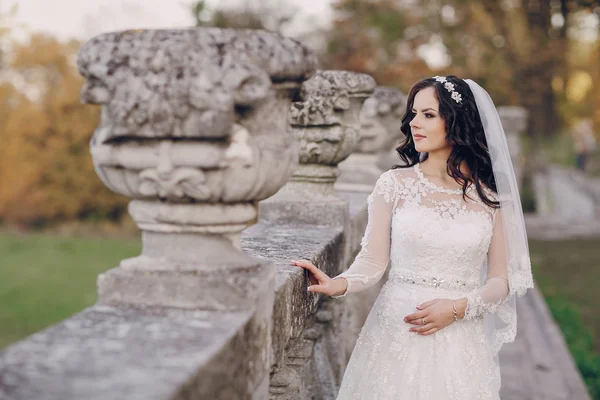 Maravilloso día de boda —  Fotos de Stock