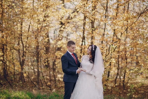 आश्चर्यकारक लग्न दिवस — स्टॉक फोटो, इमेज
