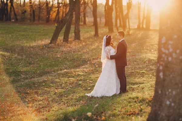 素敵な結婚式の日 — ストック写真