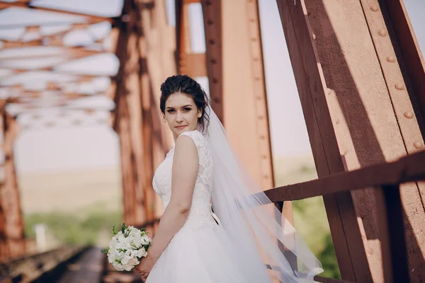 Giorno del matrimonio HD — Foto Stock