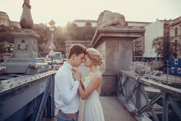 Dia do casamento em Budapeste — Fotografia de Stock