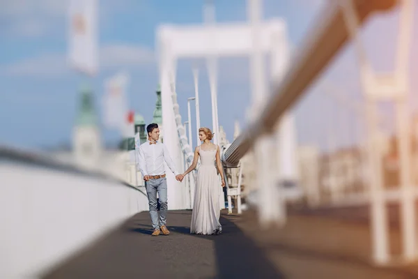 Día de la boda en Budapest — Foto de Stock