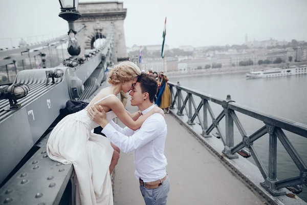 Día de la boda en Budapest —  Fotos de Stock